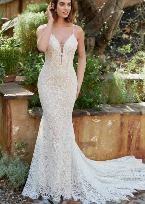 Ivory Allover Lace Open Back Graceful Wedding Dress